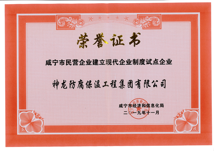 现代企业制度试点企业