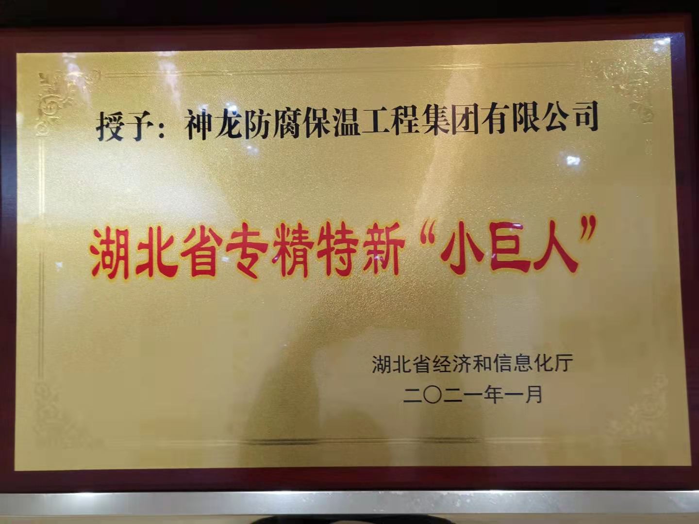 湖北省专精特新小巨人奖